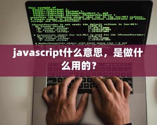 javascript什么意思，是做什么用的？