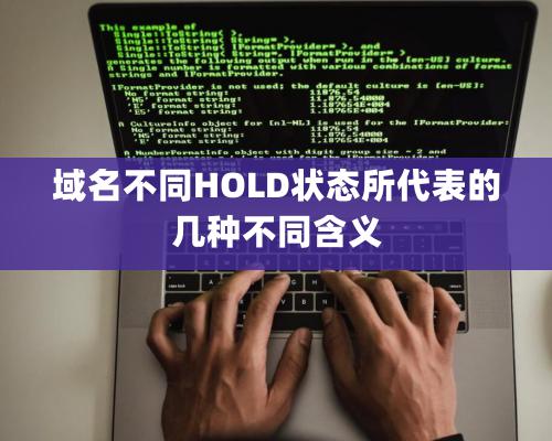 域名不同HOLD状态所代表的几种不同含义